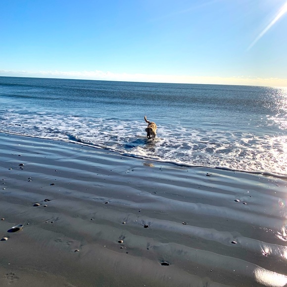 Bookmark 🔖(Click on the Heart ❤️) Posh Ambassador II ⭐️⭐️ Dawn Marie. - Picture 16 of 16